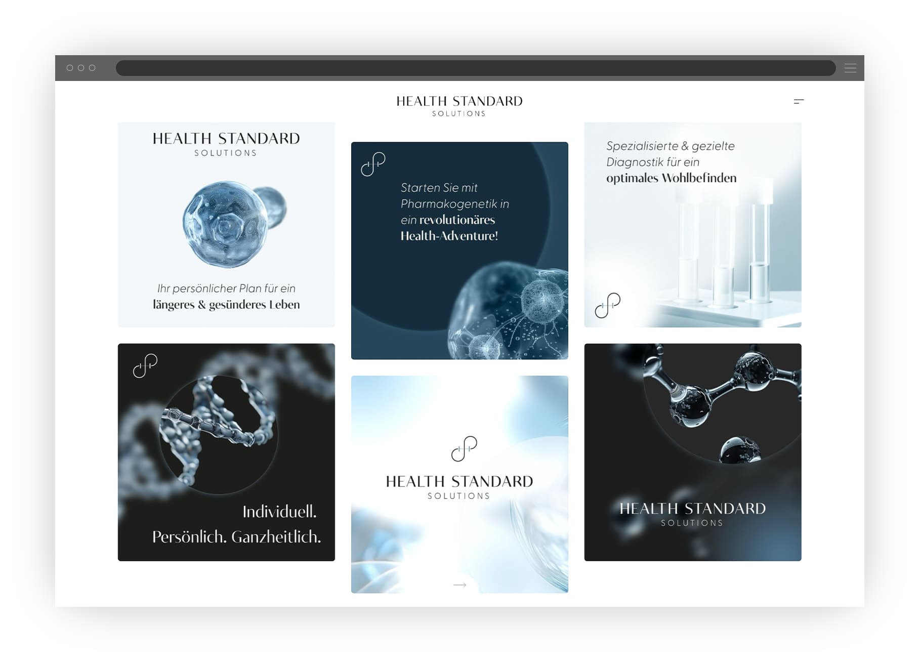 Grafik, die ein Instagram Grid der Health Standard Solutions Website zeigt.
