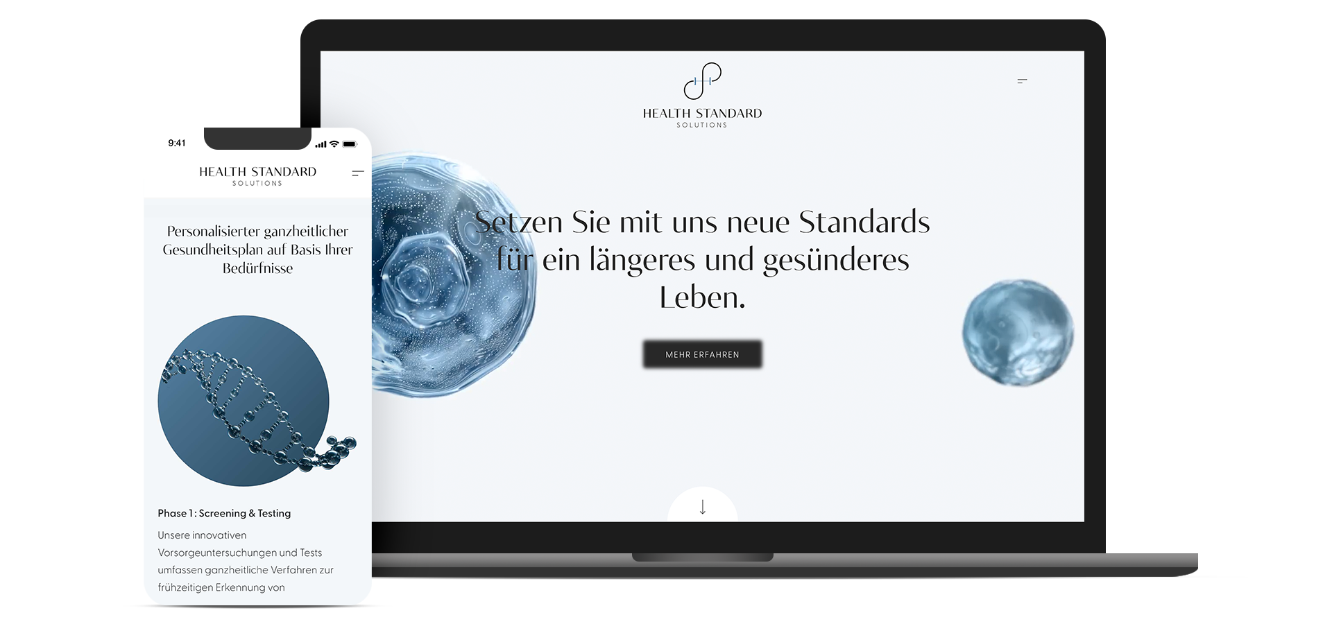 Grafik mit Laptop und Mobiltelefon die, die Health Standard Solutions Website zeigt.