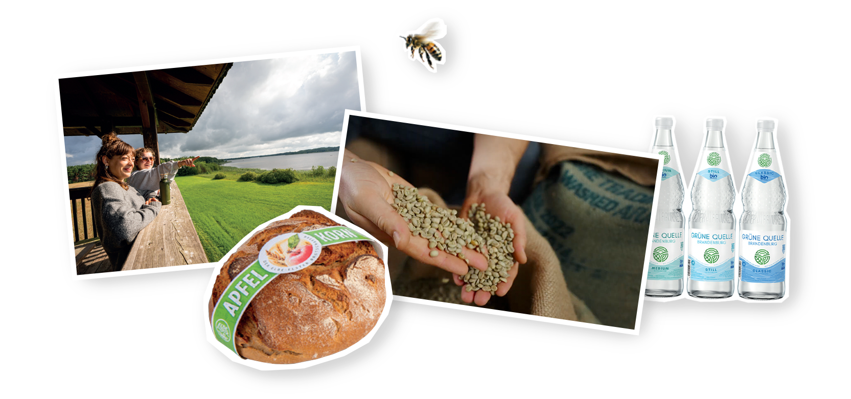 Grafik mit mehreren Bildern von Szenen und Produkten aus dem Pro Agro Video