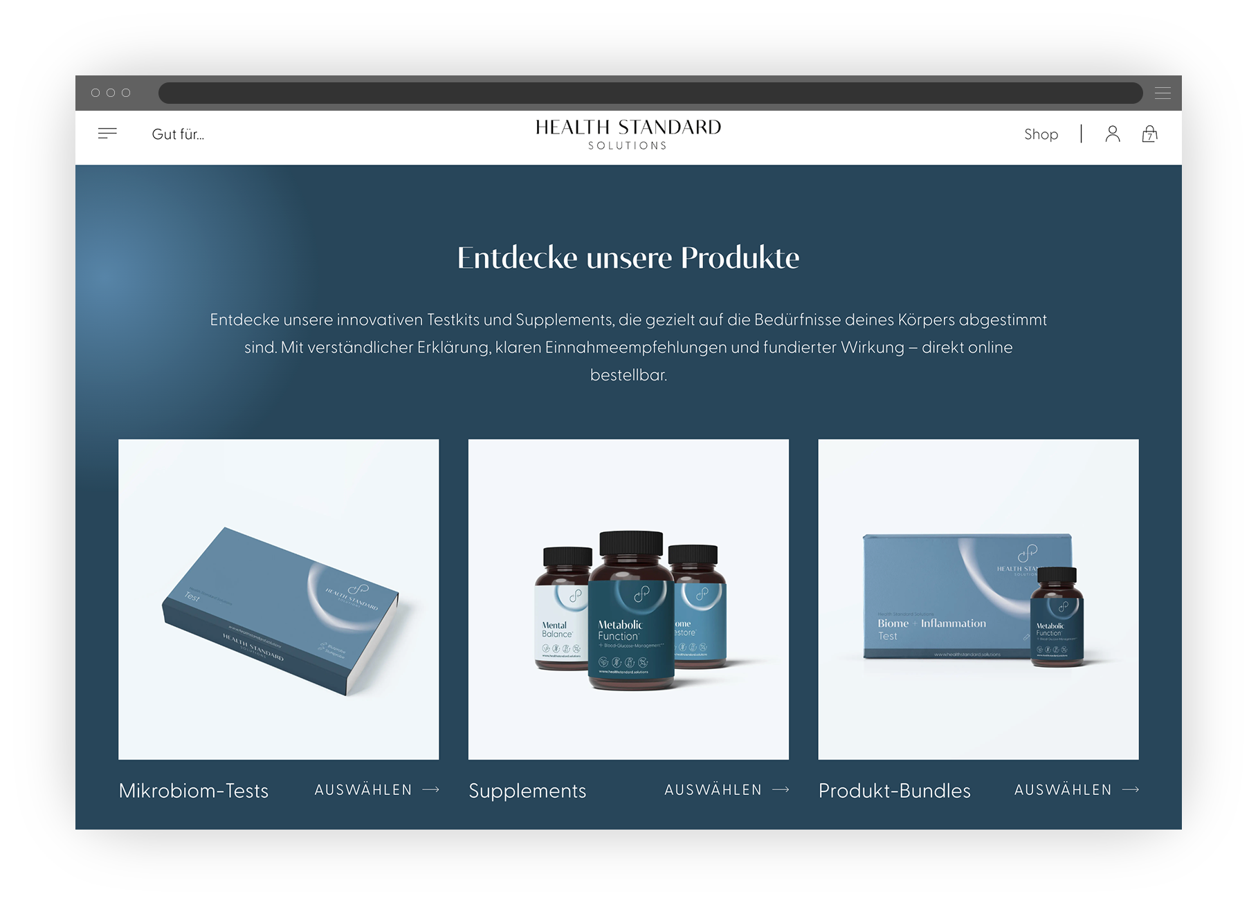 Desptop-Screen mit Produktgrid nach Kategorien von Health Standard Solutions