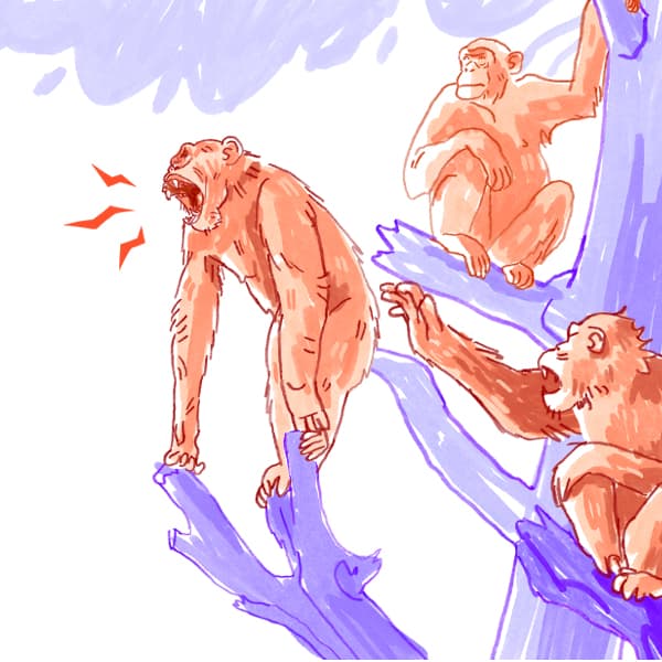 Illustration von aggressiven Affen in Bäumen für den ZDF-aspekte-Beitrag zum Thema Krieg und Frieden